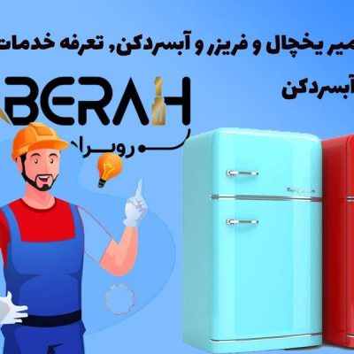 خرطومی جاروشارژی بوش - روبراه سرویس